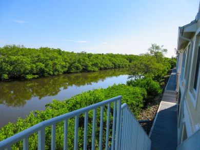 Fort Myers Condo 894432